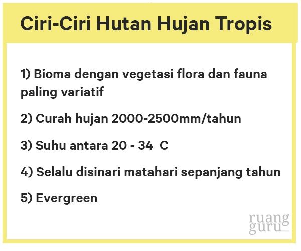 Fungsi Hutan Hujan Tropis - Homecare24